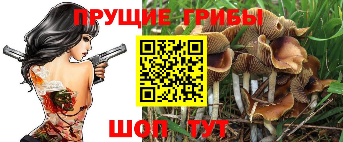 Галлюциногенные грибы Psilocybine cubensis  Вход с VPN  Брянск 